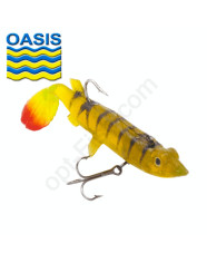 Oasis