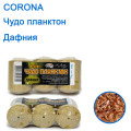 Чудо планктон Corona дафния