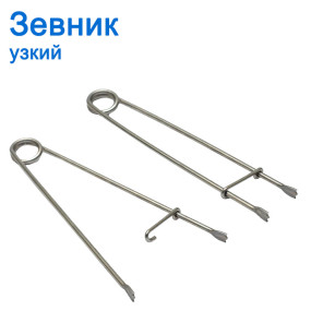 Зевник узкий